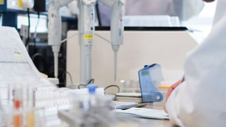 IBTS Med Scientist checking quality of results