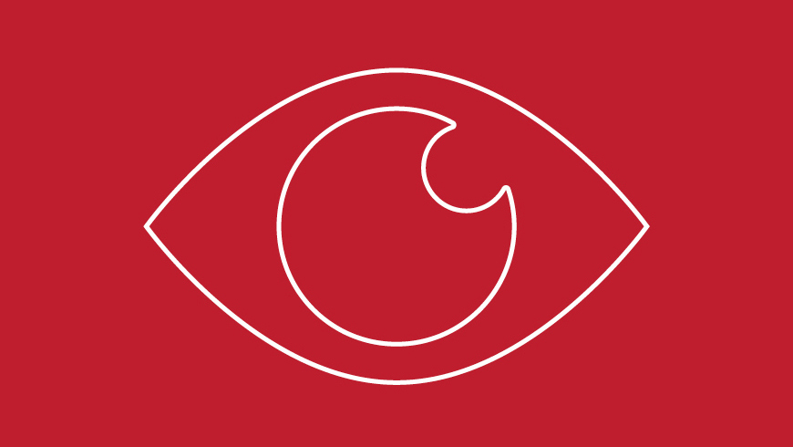 Vision