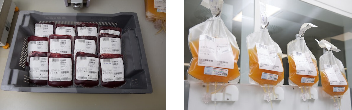 Whole blood and platelets