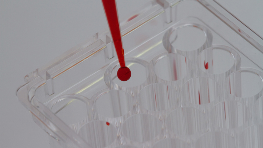 IBTS pipetting blood drop 2022