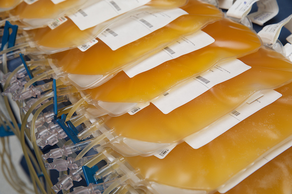 IBTS Platelet Packs 2022