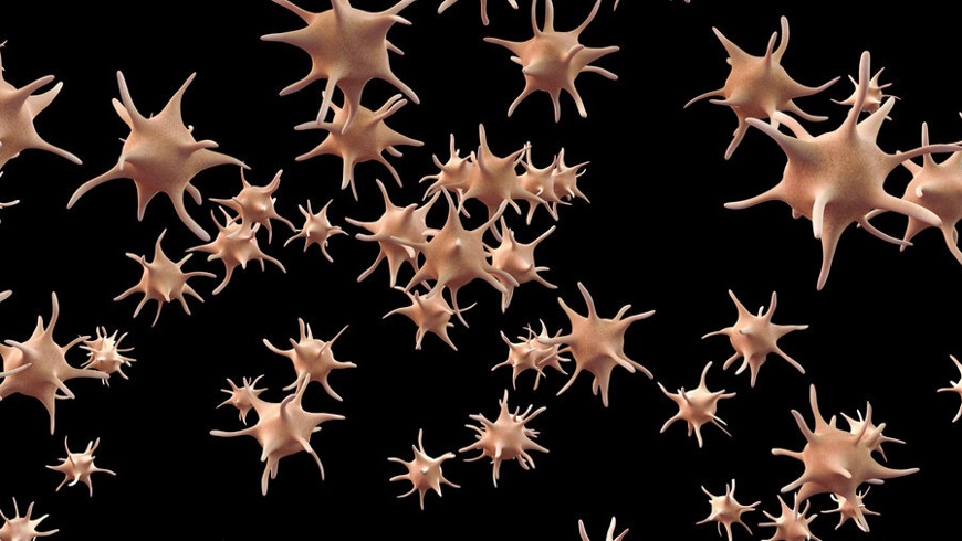 IBTS Platelets 2022